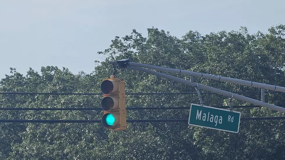 Automated License Plate Readers on the Black Horse Pike in Hamilton Township, NJ - Photo: Chris Coleman