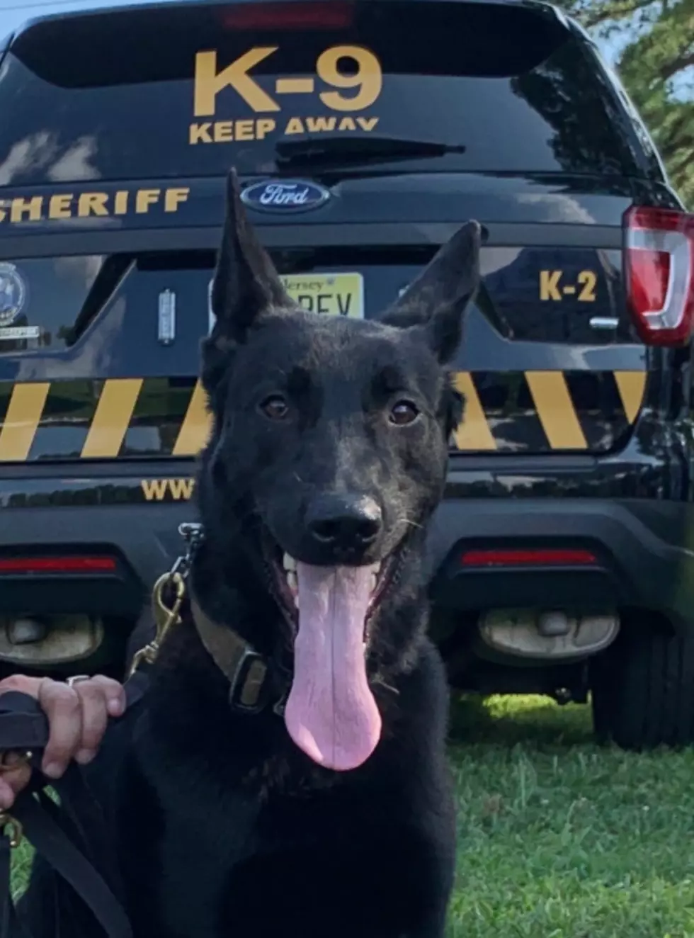 Atlantic County Sheriff’s Department photo.
