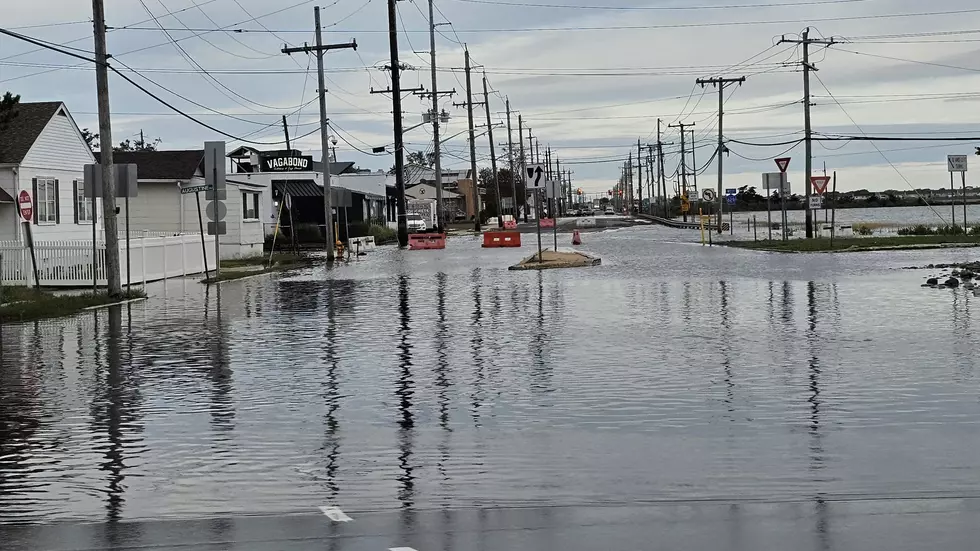 South Jersey Nor’easter by the Numbers: 4.5″ Rain, 74 MPH Wind Gust
