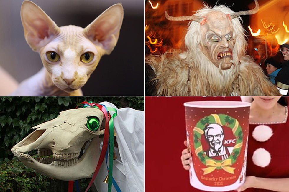 10 Unusual Global Christmas Traditions: Goats, Krampus, Pooping Logs and More