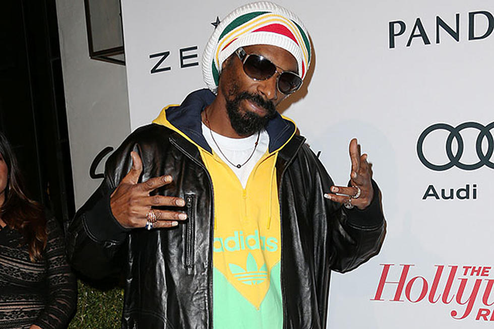 Snoop Lion&#8217;s &#8216;Reincarnated&#8217; Documentary Finds Rapper at Peace With Himself