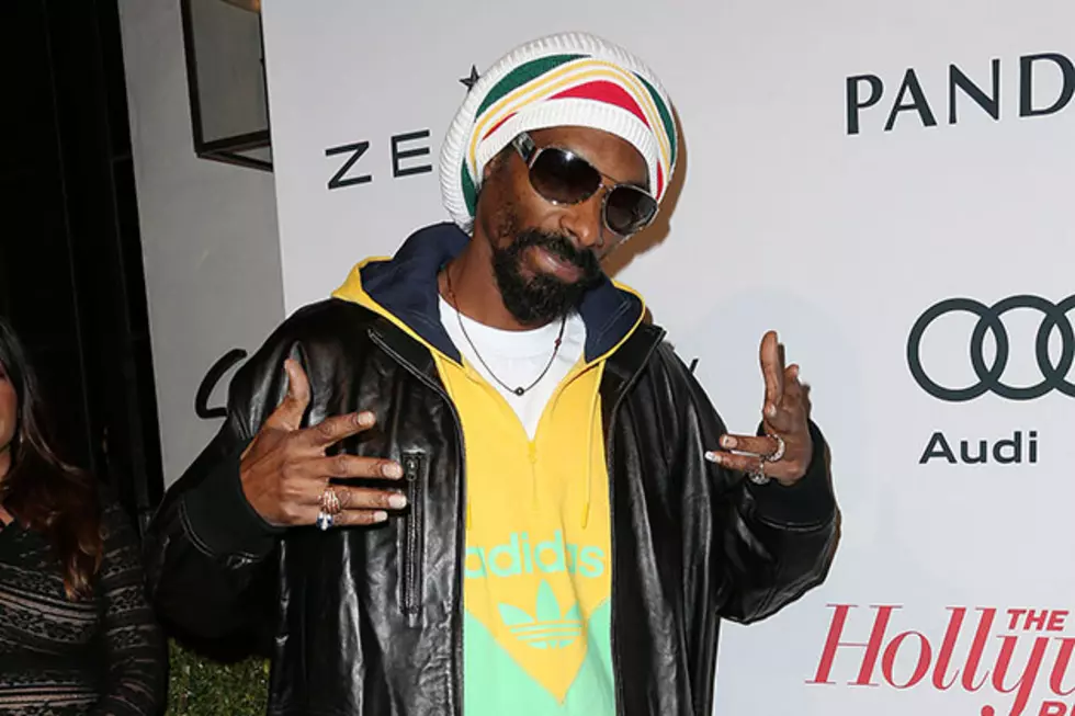 Snoop Lion Faced With Another Tax Lien for More Than $500,000