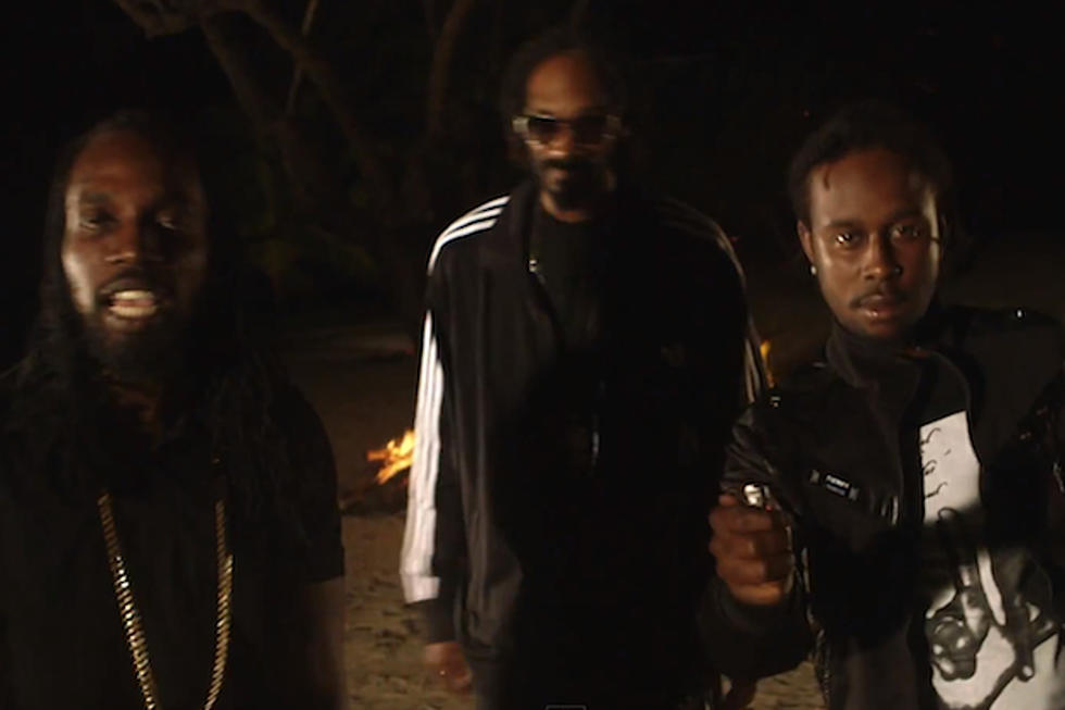 Snoop Lion Releases Fiery Video for ‘Lighters Up’