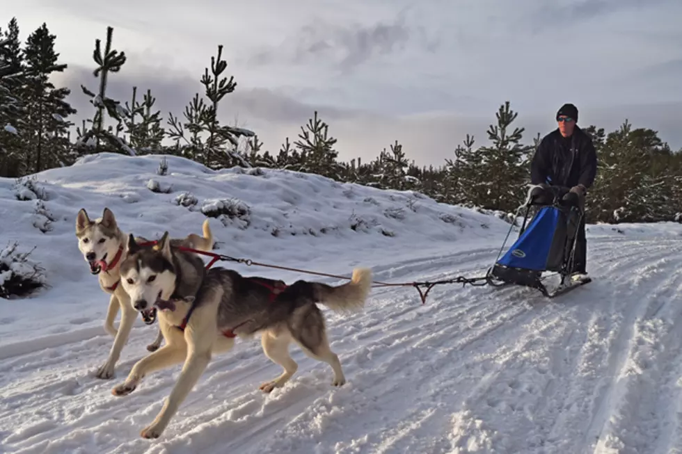 Bob Duchesne’s Wild Maine: Quinzee Huts + Sled Dog Racing [AUDIO]