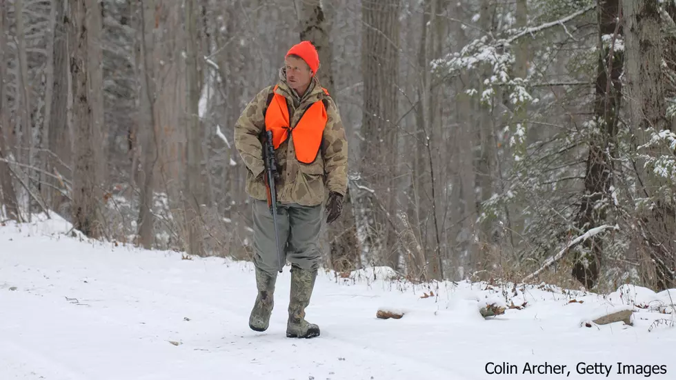 Bob Duchesne’s Wild Maine: Hunters for the Hungry + Wild Christmas Trees [AUDIO]
