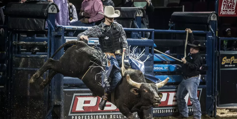 Bull Riding A Hit In Bangor [PHOTOS]