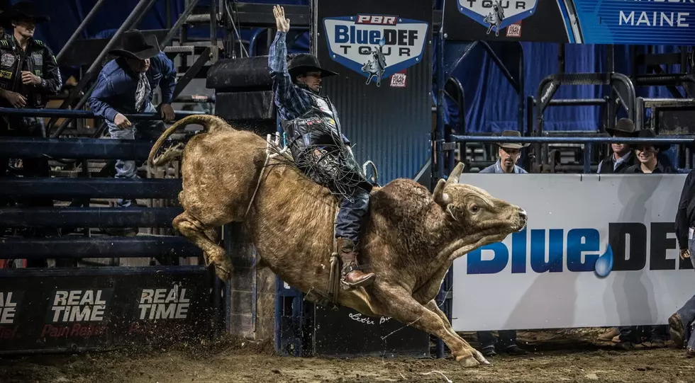 Bull Riding A Hit In Bangor [PHOTOS]