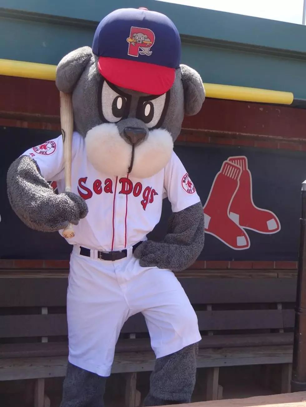 Portland Sea Dogs are Being Sold, but Sticking with Red Sox