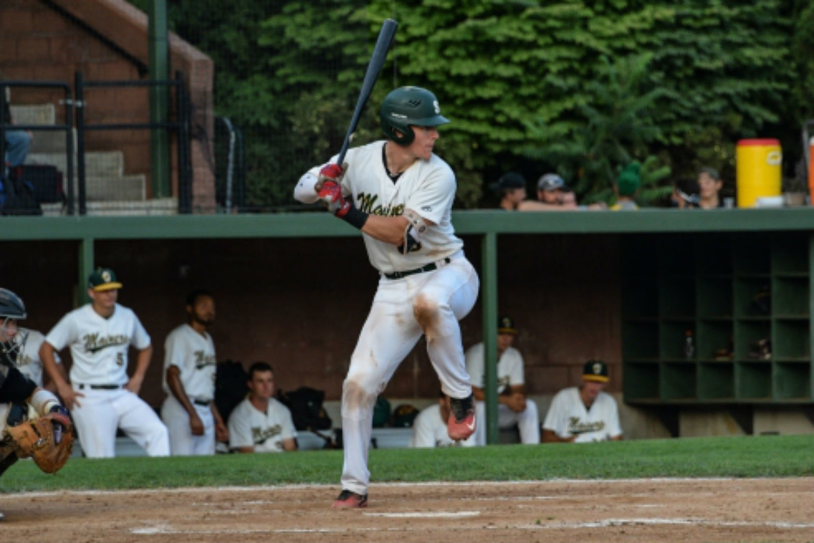 NECBL Mainers Playing For Mainers