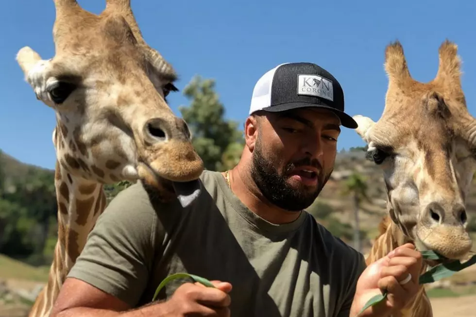 Kyle Van Noy Doesn’t Look Thrilled To Be Feeding Giraffes
