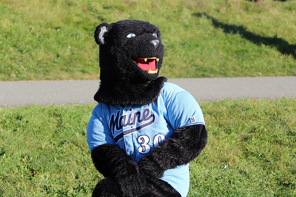 Here’s Where the UMaine Athletic Teams Are in Action November 26-28
