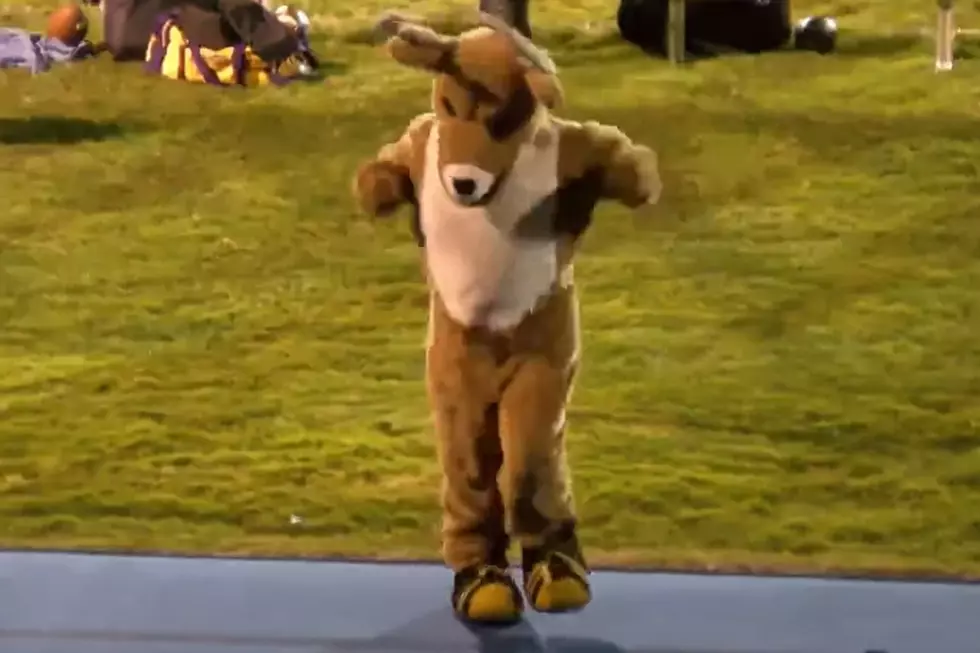 Bucksport Golden Bucks Mascot Has All the Dance Moves