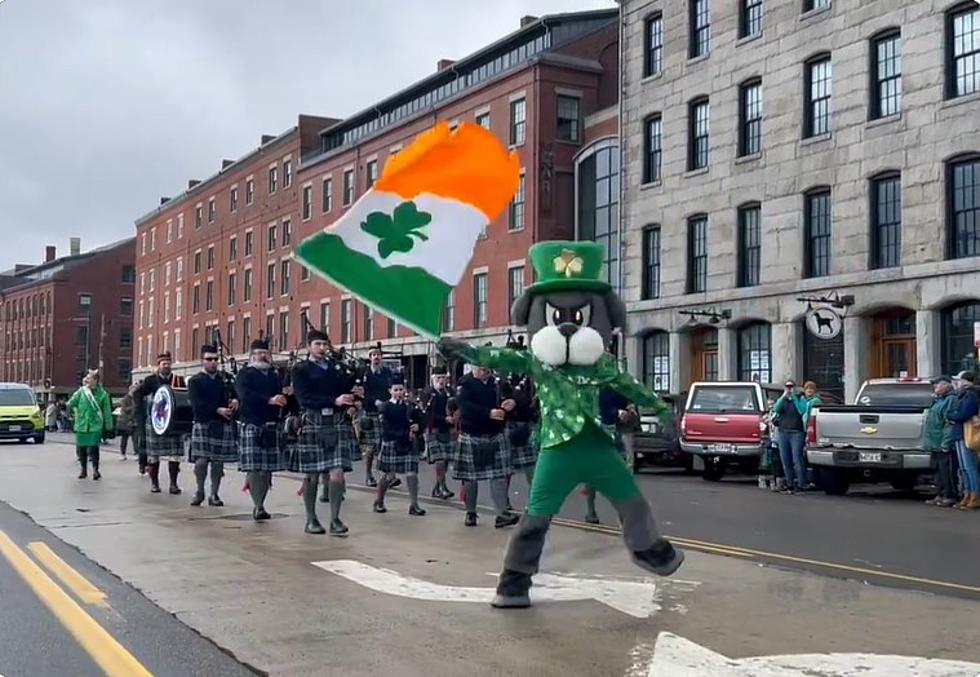 Slugger in Portland St. Patrick&#8217;s Day Parade [VIDEO]