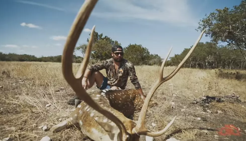 Koe Wetzel Drops Axis Buck & Acoustic Version of 'One and Only'