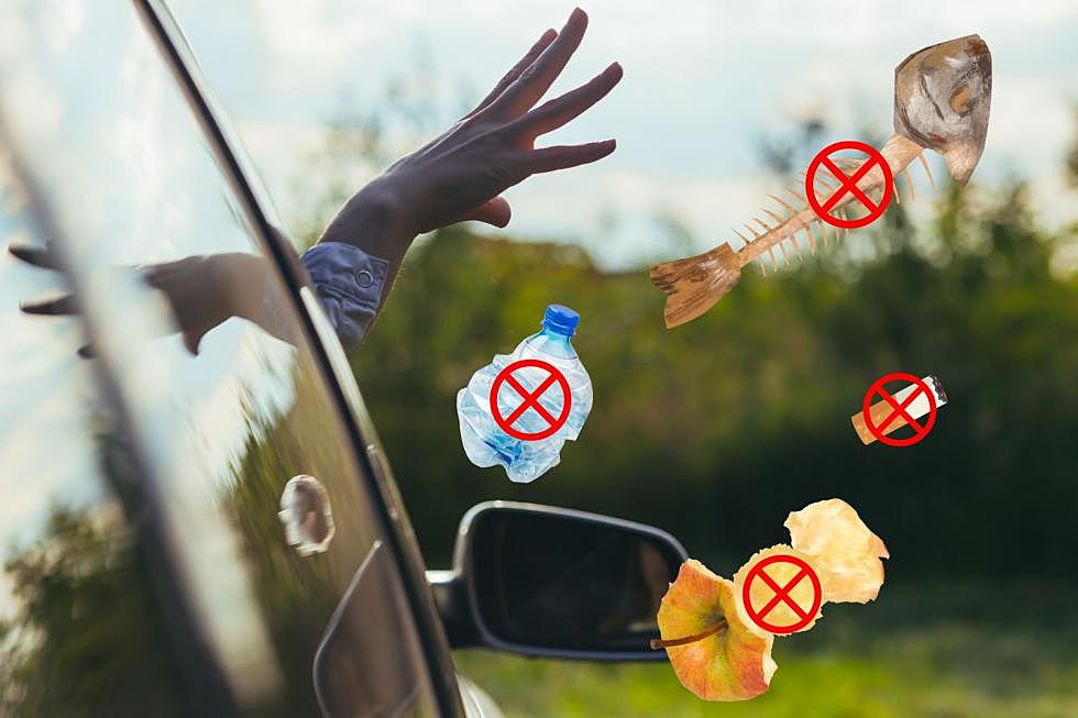 The 1 Thing You Can Legally Throw Out of Your Car Window in Texas