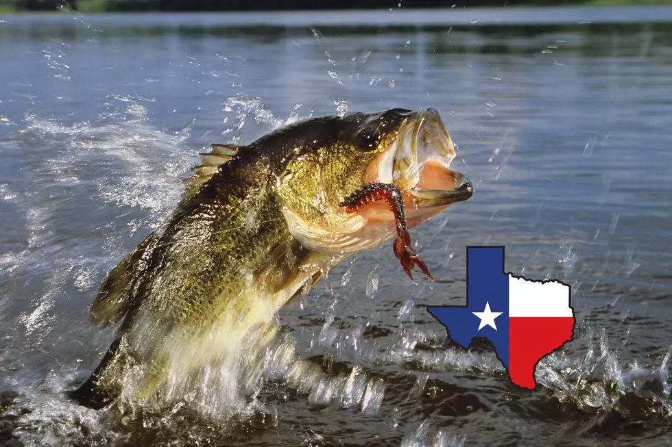 The Five East Texas Lakes That Made The Best Lakes for Fishing List in ’24