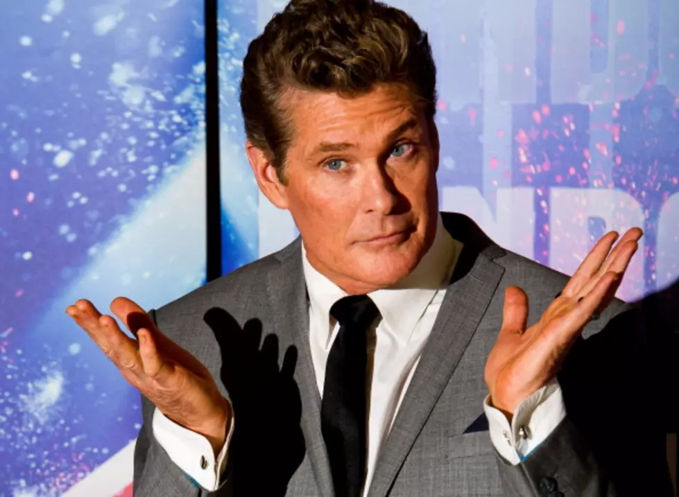 David Hasselhoff Is Going Metal – If You’ll Help Him