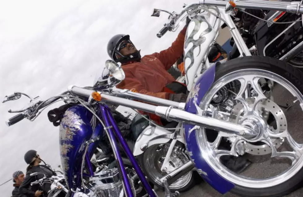 I Love Dogs!  I Love Motorcycles!  Put Them Together? Awesomeness!! [VIDEO]