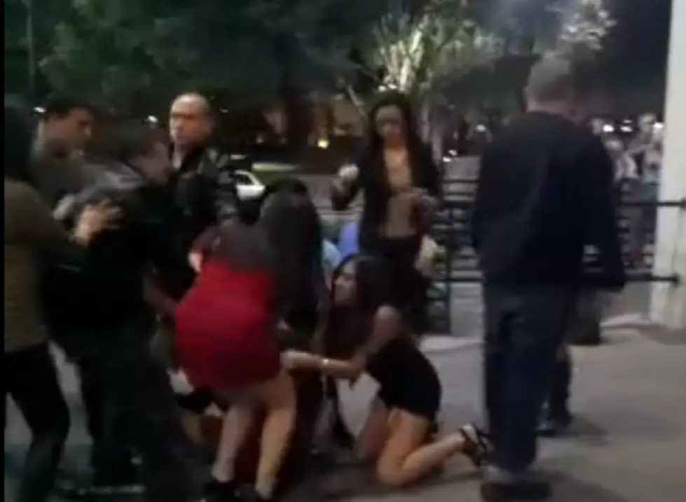 One Of The Craziest Catfights You Will See [Video]