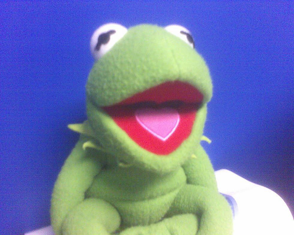 Is Buzz Afraid of Kermit? [POLL]