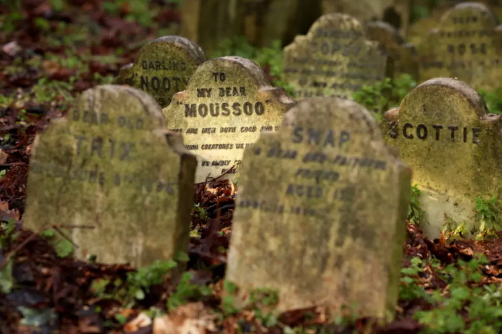 Graveyards, Chainsaw Murders and Camping &#8211; Welcome to Texas [VIDEO]