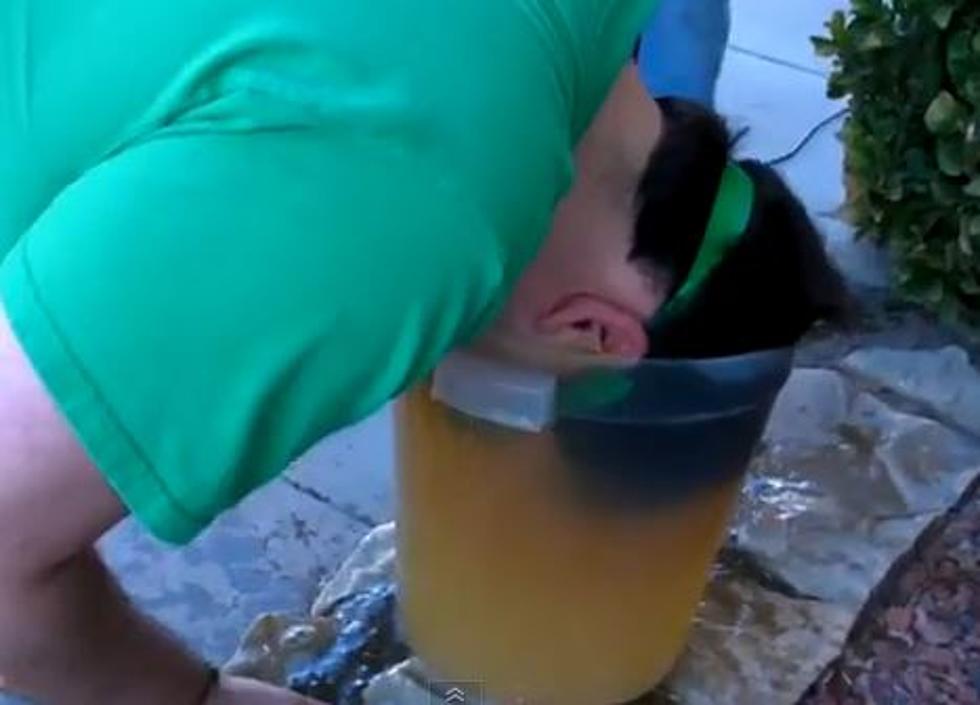 Guy Dunks His Head in Pee for Green Day Tickets [VIDEO]