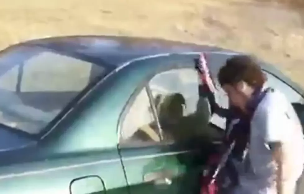 Idiot Vs Car Window: Who Ya Got? [Video]