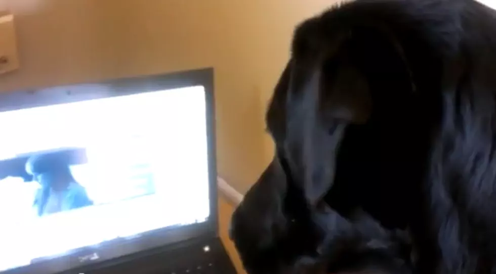 Rev The Black Lab Sings Along To His Song [VIDEO]