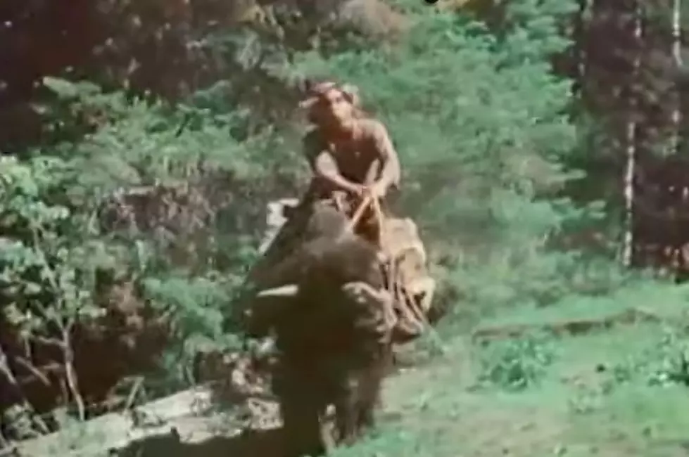 Guy On A Buffalo (Videos)