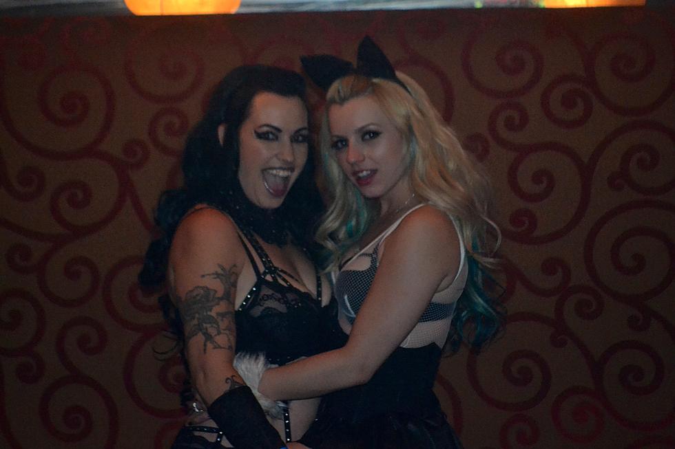 Q-Rotica 2014 Lexi Belle Meet and Greet Photos