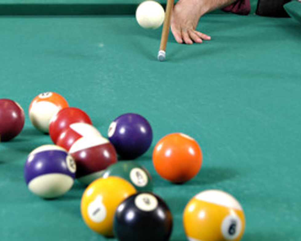 Halo The Dog Plays A Good Game Of Pool [VIDEO]