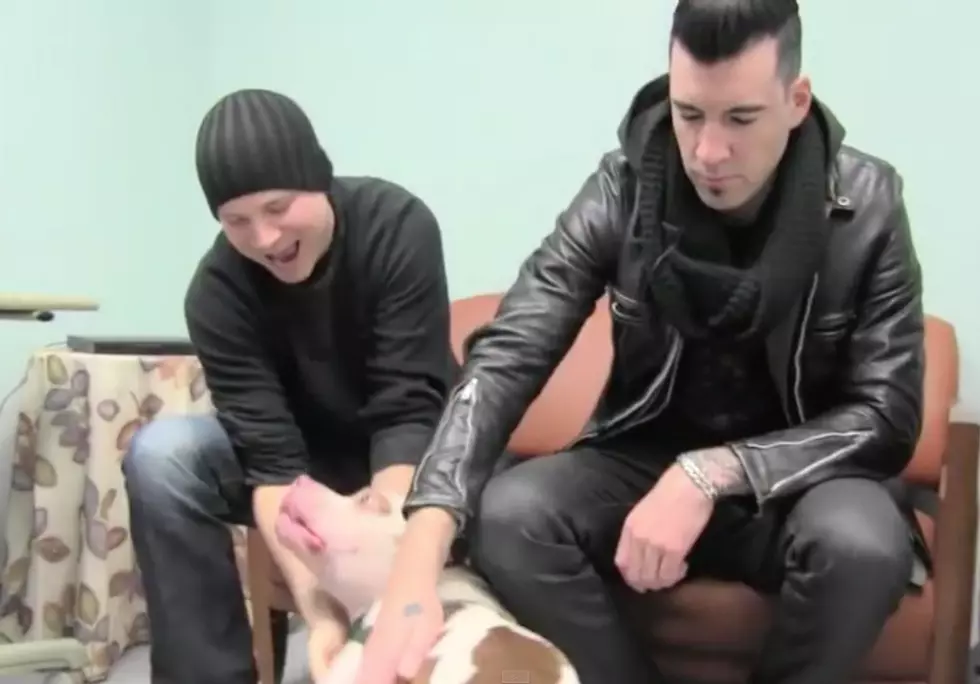 Theory of a Deadman Show off Their Sweet Side While Visiting an Animal Shelter