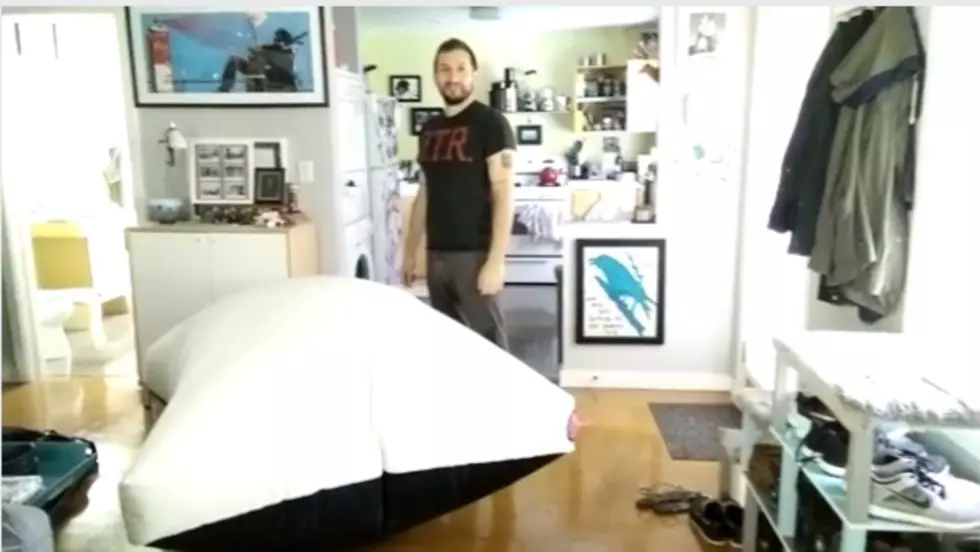 Guy Creates Giant Whoopee Cushion, Cat Steals Spotlight