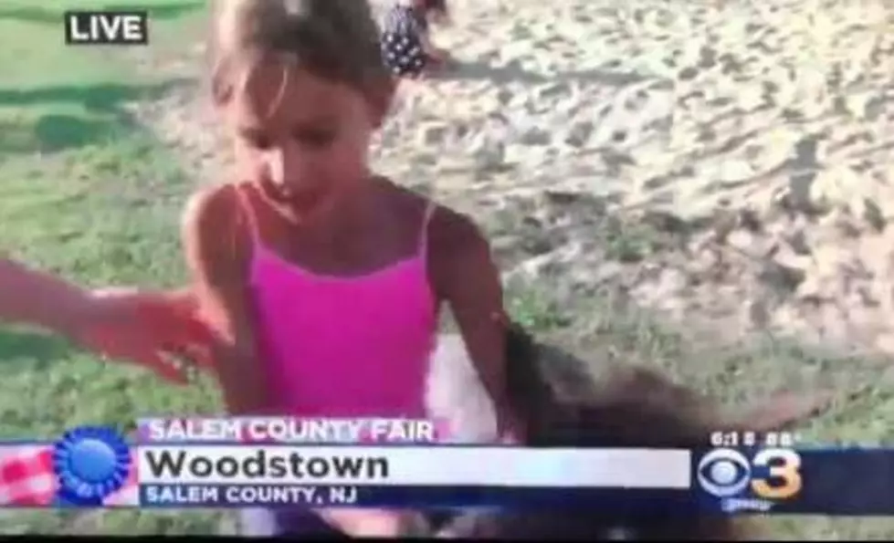 Little Girl Gets Kicked in the Face by Micro Pony on Live TV