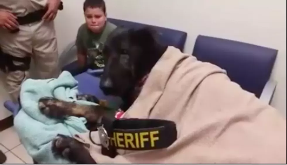 Texas Sheriff&#8217;s Office Gives Emotional &#8216;Last Call&#8217; for K-9 Cop