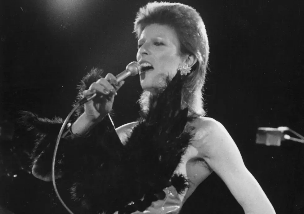 Have Some Fun and Feel Insignificant with 'What Did David Bowie Do?' Site