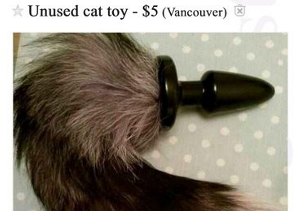 Ummm, That&#8217;s Not a Cat Toy