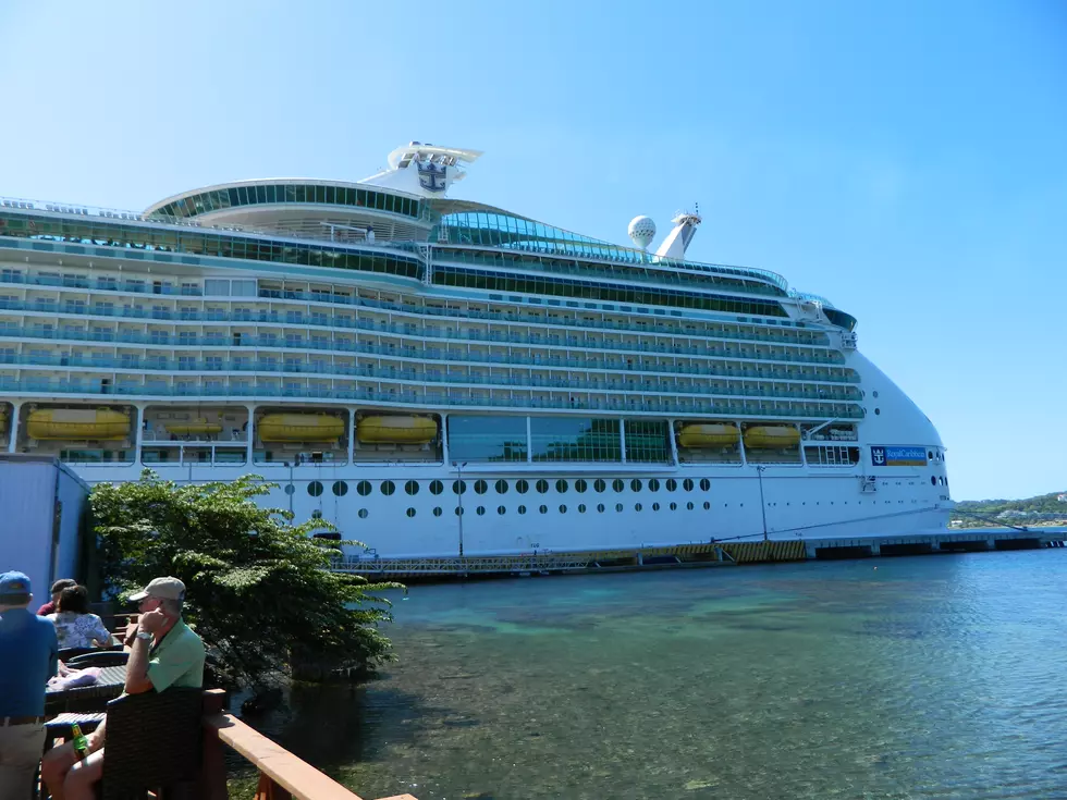 Texas Man Falls Overboard on Cruise Ship in Florida, Search Begins