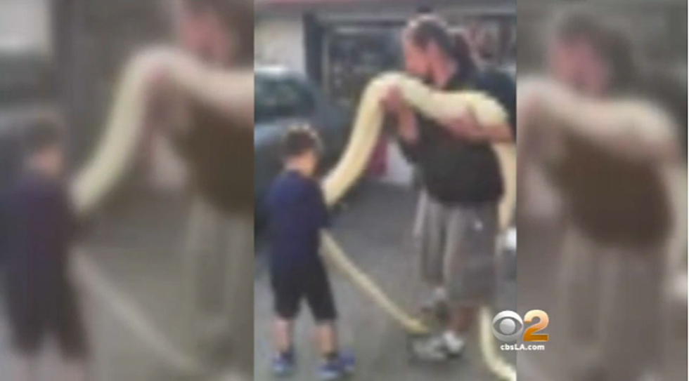 Man Throws 13-Foot Snake in Restaurant 