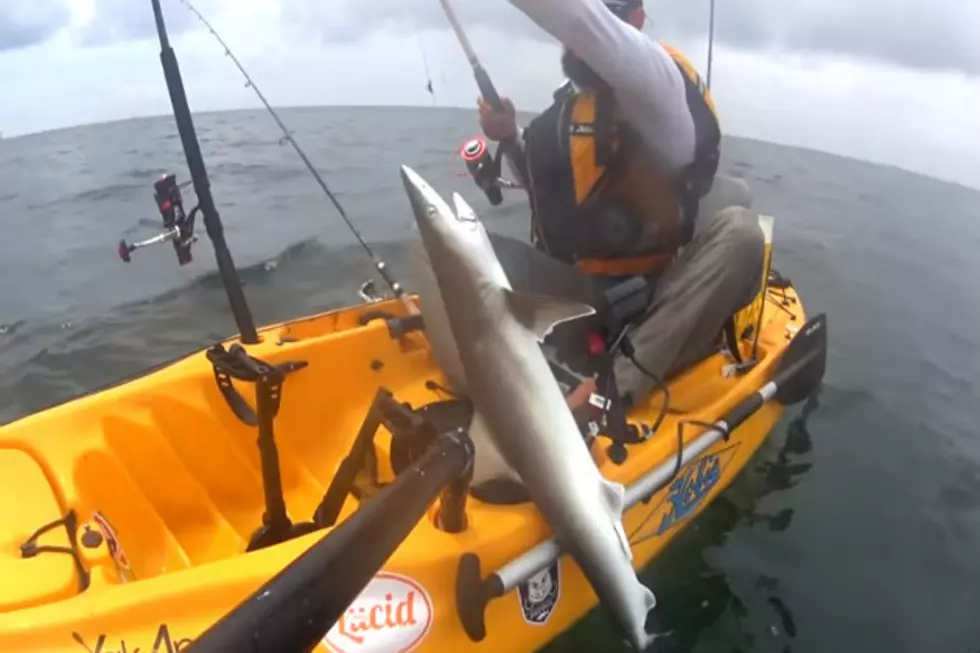 Texas Man Catches Shark, Then Shark Almost Catches Texas Man
