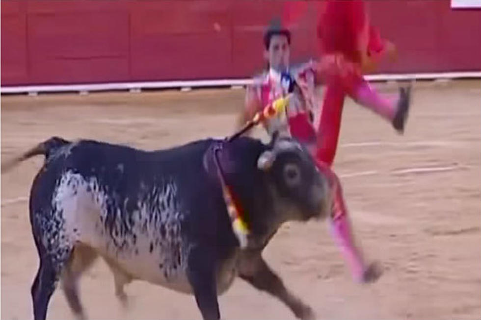 Matador Gored by Bull on Live TV