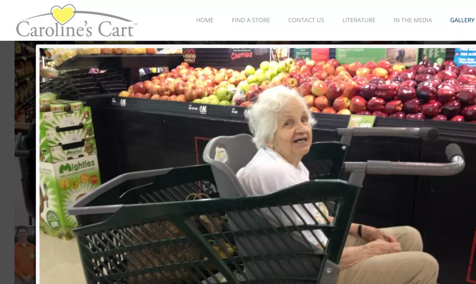 New Shopping Cart Genius Idea for Special Needs Kids, Dignity-Crushing Nightmare for Seniors