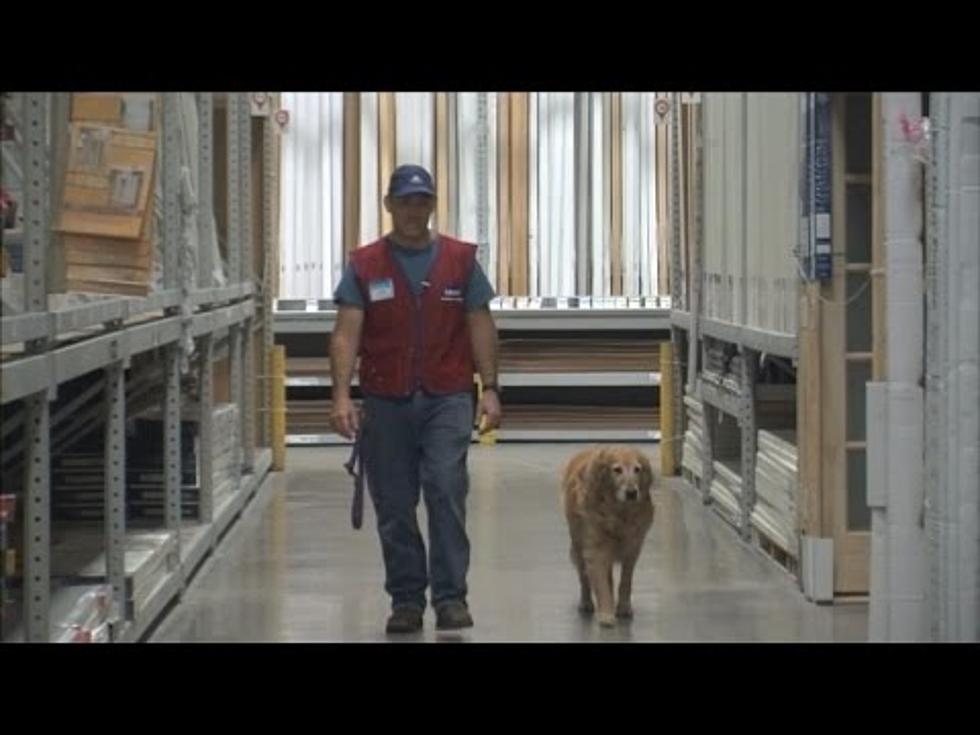 Texas Lowe’s Hires Disabled Vet And His Service Dog