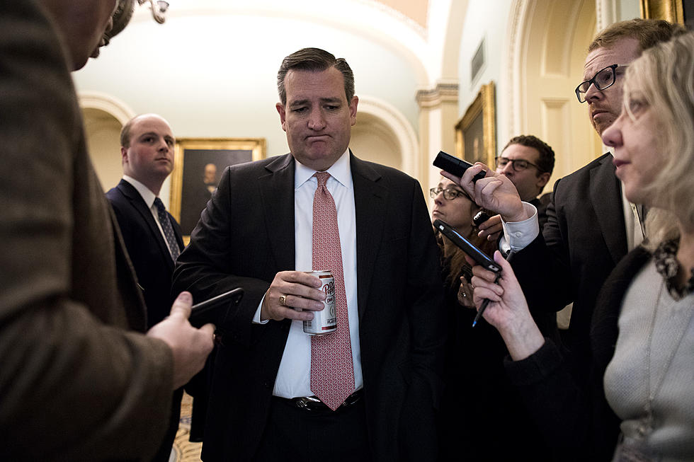 Texas Woman Trolls Ted Cruz In Photo With Senator