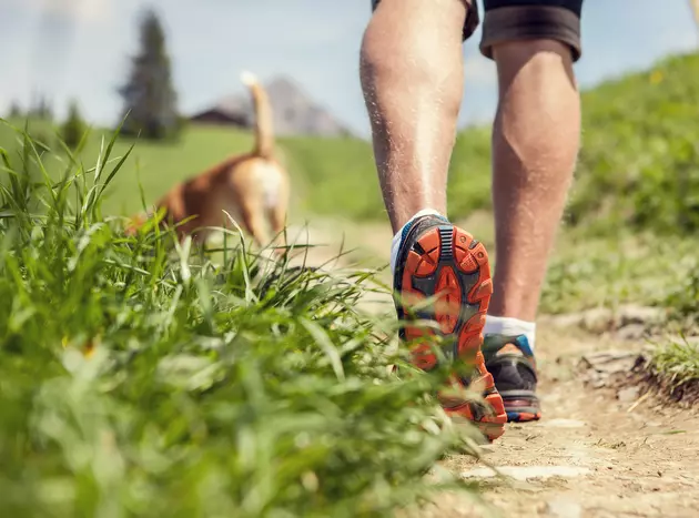 Tips For Working Out During The Sweltering Dog Days Of Summer