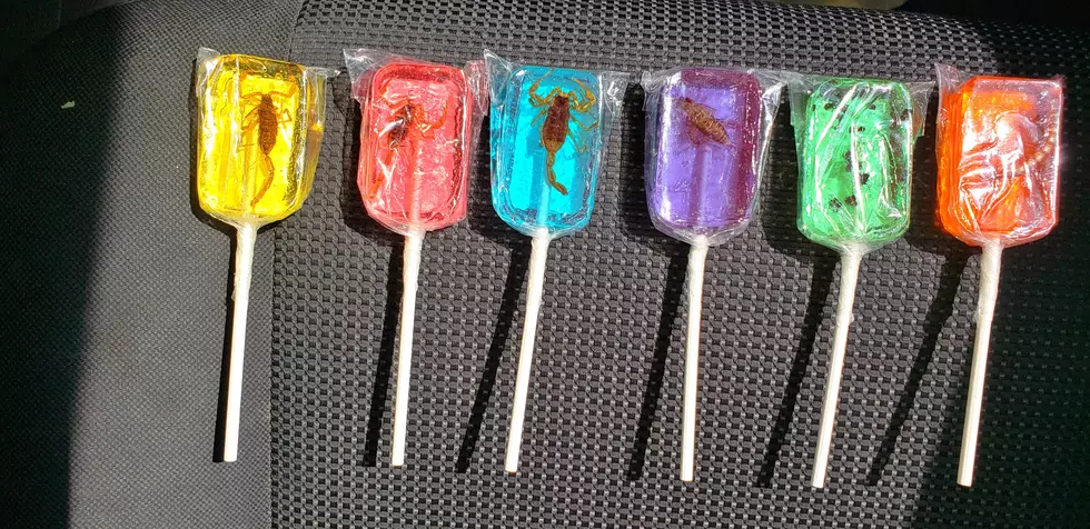 Pick The Insect Lollipop You Would Like Veronica Gonzalez To Eat