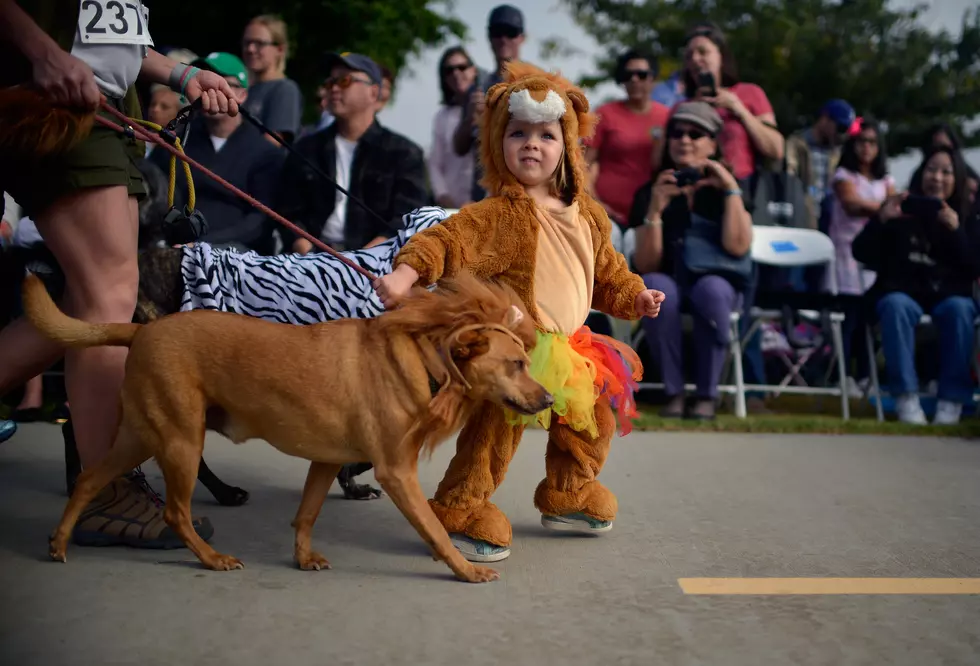 The 33rd Annual KLAQ Halloween Parade Is Today