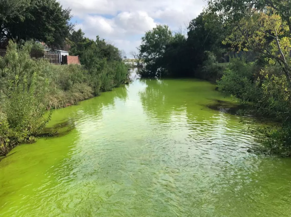 We Now Know Why a Creek in Texas Turned Bright Green