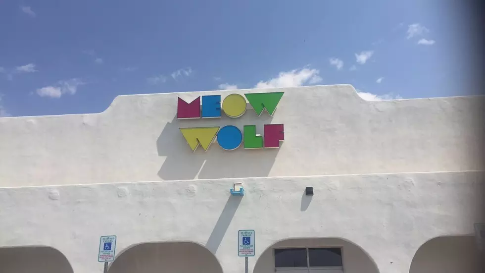Meow Wolf Offering Free Entry To Furloughed Federal Employees
