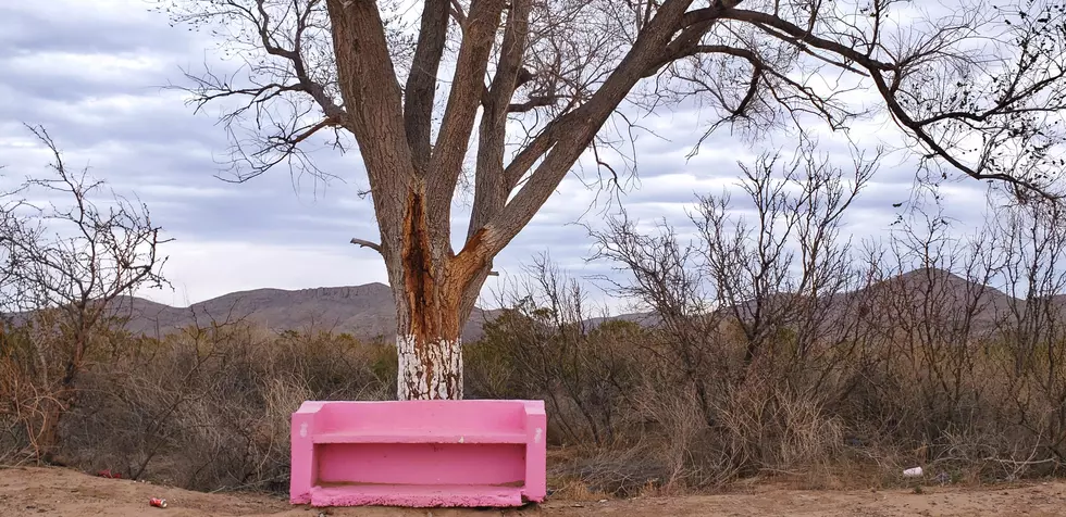 Random Pink Bench Sits Alongside Hueco Tanks Road